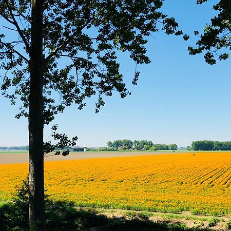 Bed and Breakfast Slapen Bij De Zeeuwse Lala IJzendijke Exterior foto