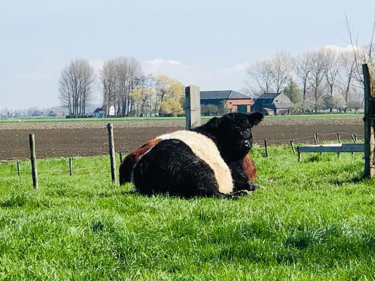 Bed and Breakfast Slapen Bij De Zeeuwse Lala IJzendijke Exterior foto