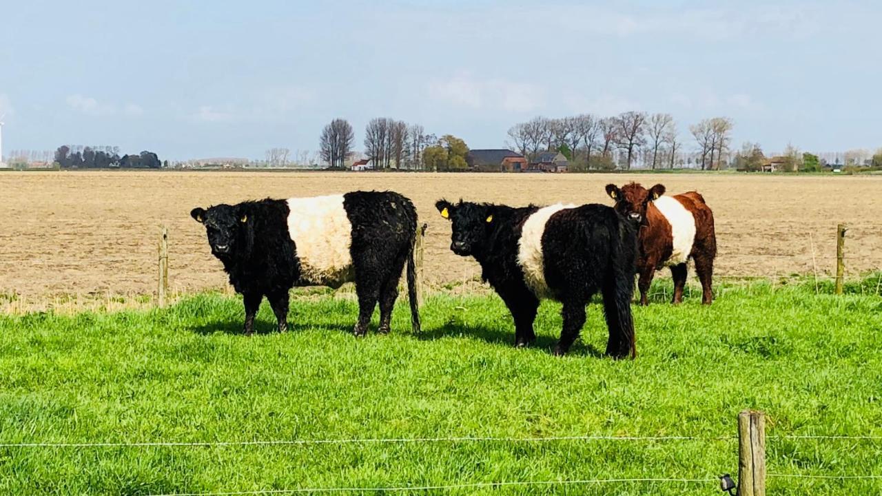 Bed and Breakfast Slapen Bij De Zeeuwse Lala IJzendijke Exterior foto