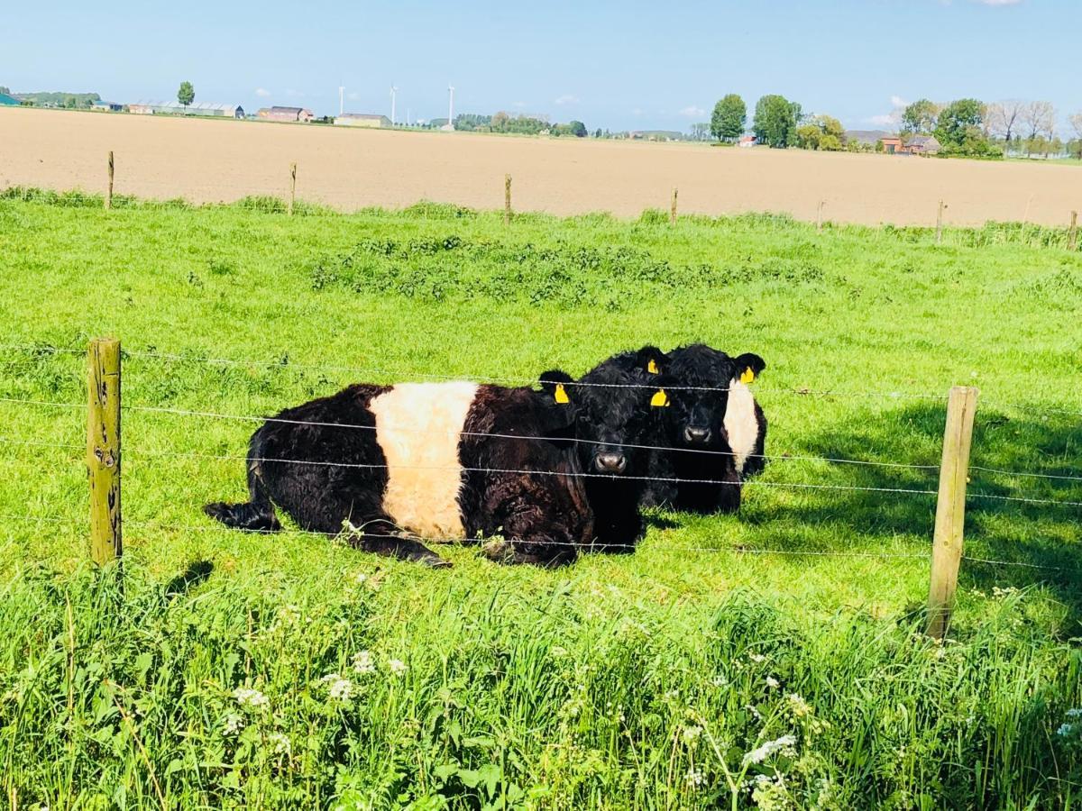Bed and Breakfast Slapen Bij De Zeeuwse Lala IJzendijke Exterior foto