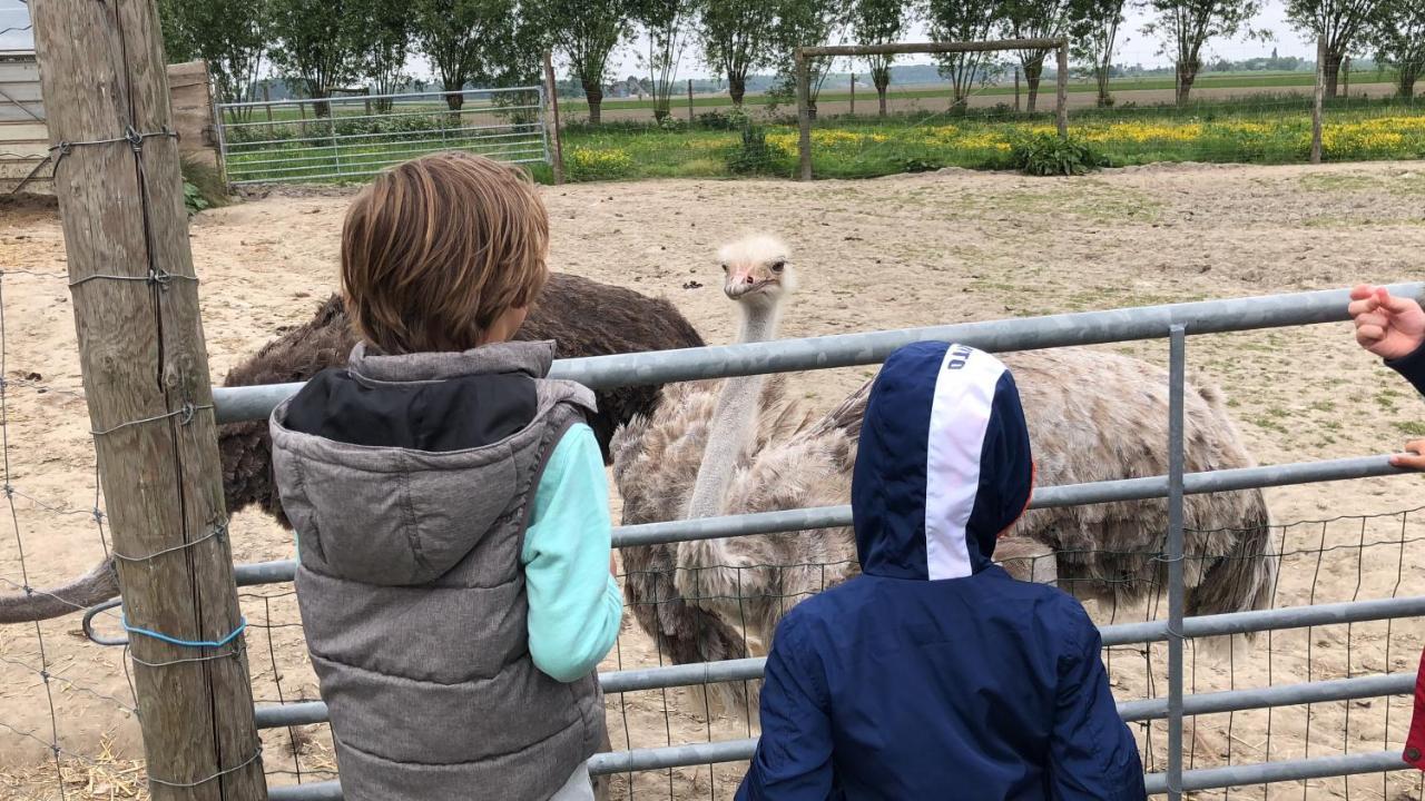Bed and Breakfast Slapen Bij De Zeeuwse Lala IJzendijke Exterior foto